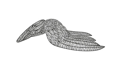 Angel wings. Outline drawing on a white background.