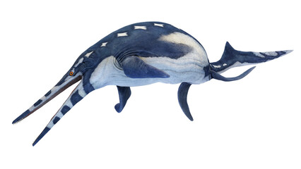 dinosaur illustration