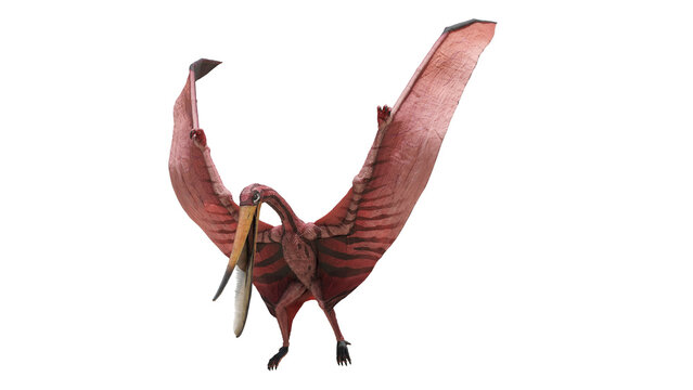dinosaur illustration