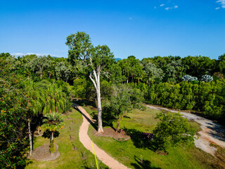 Aerial view of tress and tropical path in Cairns Botanical Garden