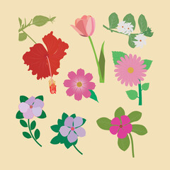 Beautiful Flowers Vector Artwork & illustration. This is an eps file.