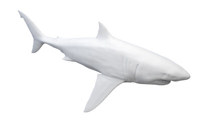 shark