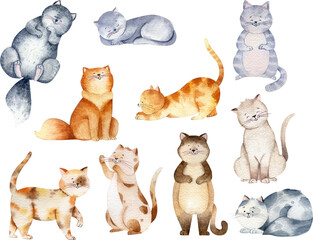 Cute watercolor cat. Kitten cartoon illustration, domestic pet character design. Baby animal illustration. Children kitty graphics. Baby shower clip art