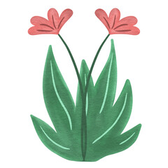 Flowers Grass Watercolor Clipart