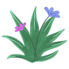 Flowers Grass Watercolor Clipart