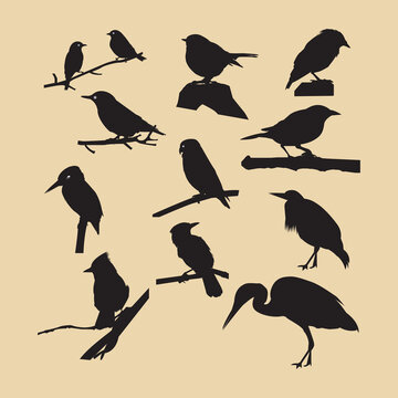 Bird Silhouettes Vector Artwork & illustration. This is an eps file. 