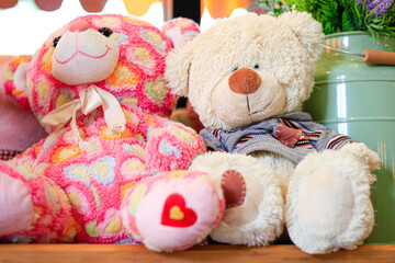Pink and white bear doll sit together