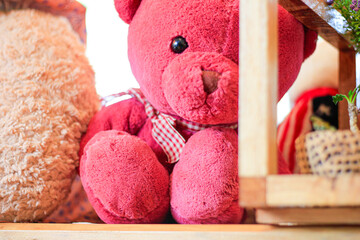 Pink bear doll sit an alone