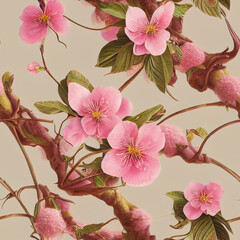 Cherry blossom flower background