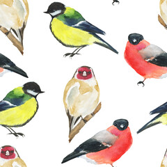 Watercolor winter bird seamless pattern on white background. Chickadee, bullfinch and goldfinch. Hand drawing illustration. Perfect for textile, wallpaper, print.
