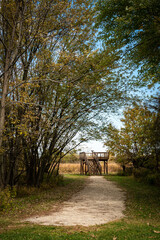A gravel pathway leading to an observation deck at the edge of a densely foliaged field