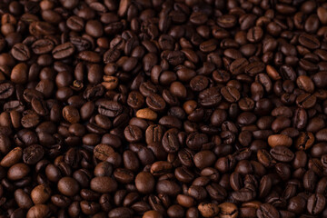 Close-up view of the coffee beans