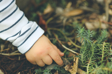 child hand touching dirt