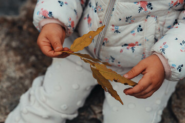 child keeping leaf