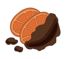 Two round slices of orange half covered in chocolate. Vector illustration on a white background