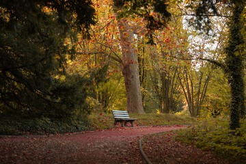 bench in autumn park
