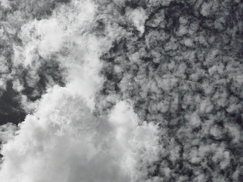 beauty black and white with fluffy clouds on sky.  classic dark image. abstract fantasy growing light