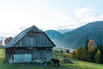 Country side of Romania, Magura village at sunset.