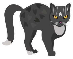 Vector illustration of grey cat with bright yellow eyes turned sideways. Isolated on white background.