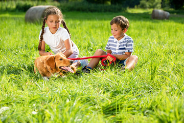Cute siblings and their dog playing together outdoor