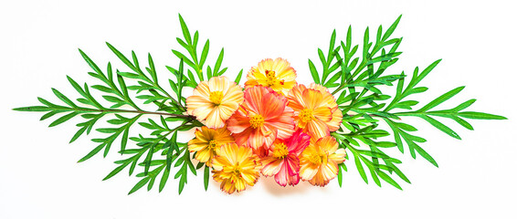 brightly colored flowers and green leaves on a white background