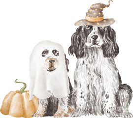 English cocker spaniel dogs in halloween costumes