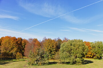 Colorful autumnal trees in the European park at Sunny october day on blue sky with clouds and plane vapor exhaust background