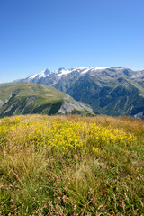 Fototapeta na wymiar La Meije, mountain glacier, in summer, vertical shot