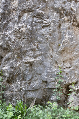 Natural stone wall with moss and vegetation on the ground. Gray and white rock texture front view with natural light shadows. Flat part of a natural stone wall on a path