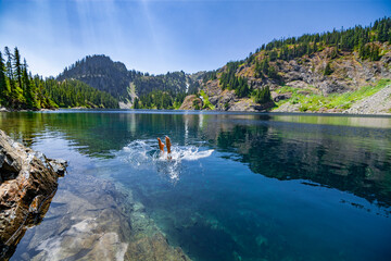 Adventurous athletic female hiker diving into an alpine lake in the Pacific Northwest.