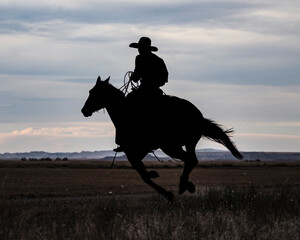 horse and rider at sunset