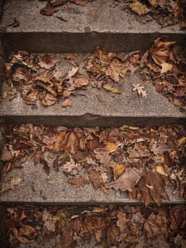 Abstract fall background texture of yellow  autumn leaves on stairs. Yellow and orange autumn leaves.