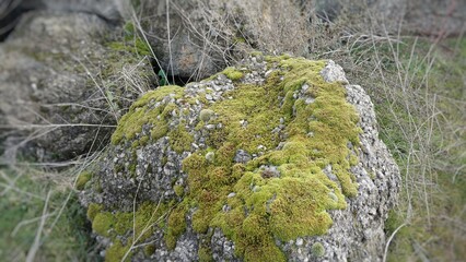The stone is covered with moss