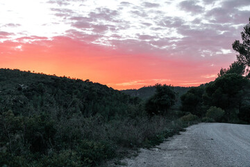 Fototapeta premium Idyllic sunset on the road in the middle of the nature
