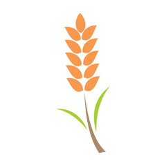 wheat logo vector symbol

