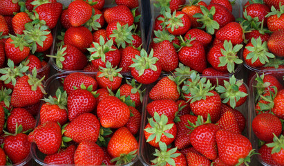 Ripe Red Strawberries background