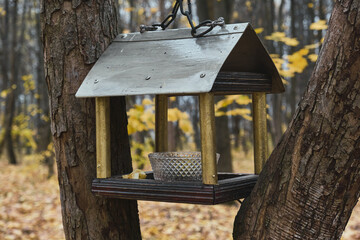 Wooden feeder for squirrels and birds on a tree in the autumn forest birdhouse