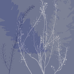 Merry Christmas greeting card with botanical herbal florals branch fir tree pattern 