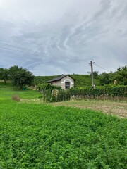 Fototapeta na wymiar Little house in the Czech vineyard