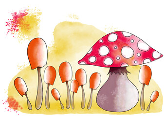 Watercolor illustration of mushrooms  