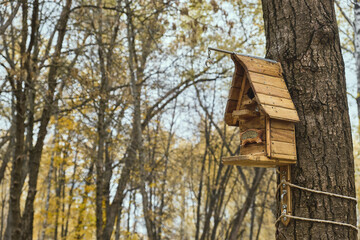 Wooden feeder for squirrels and birds on a tree in the autumn forest birdhouse