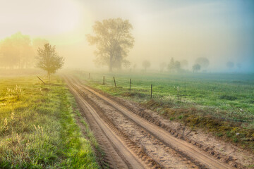 Fototapeta na wymiar Landscape sunset in Narew river valley, Poland Europe, foggy misty meadows with trees, road in meadows spring time 