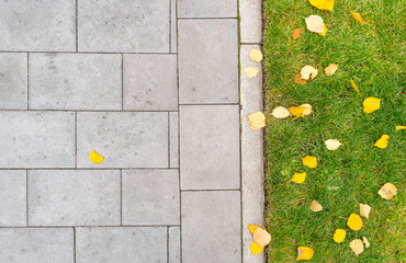 Autumn Sidewalk Top View. Yellow Fallen Leaves on Modern Pathway, Gray Concrete Paving Stones with...