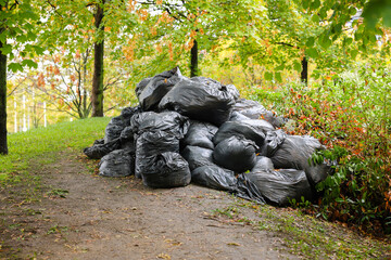 Garbage bags piled up outdoors in the forest
