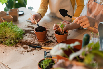 Cropped view of preteen friends planting microgreen near gardening tools at home.