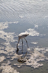 holidays in sardinia