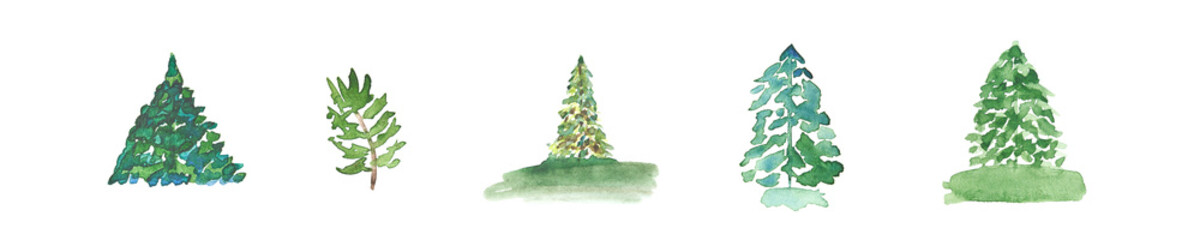 Green watercolor texture tree. Summer flora branch. Beautiful plant illustration. Sketch hand drawing art. Fir woods aquarelle card. Design pine elements. Isolated white background