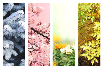 Four seasons of year. Set of vertical nature banners with winter, spring, summer and autumn scenes