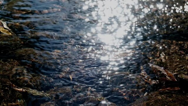 Stream shiny water texture, flowing pure river water surface with sun glares. Slow motion video