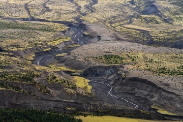 Mount St Helens Foreground